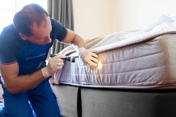 Best Bed Bug Extermination  in Clendenin, WV